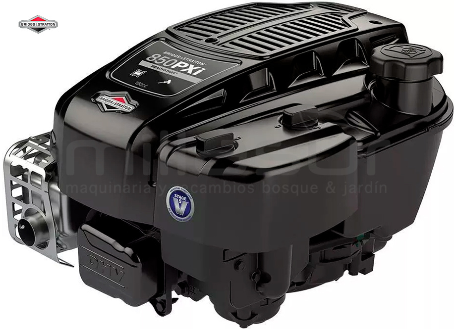 BRIGGS & STRATTON 123P020004H5YY0001 Motor B&s Serie 850 (Ø22'2X62) Volante Pesado - Reymotor
