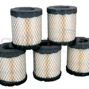 BRIGGS & STRATTON 4250 Pack 5 X 798897 Filtros - Reymotor