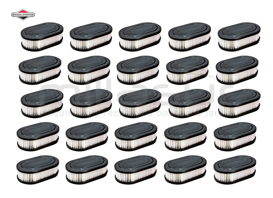 BRIGGS & STRATTON 593260M Pack Filtros Aire ( 25 X 593260 ) - Reymotor