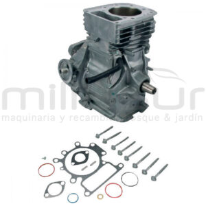 BRIGGS & STRATTON 592060A SB Model 31 Vrt - Reymotor
