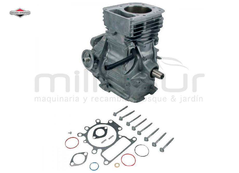 BRIGGS & STRATTON 592060A SB Model 31 Vrt - Reymotor