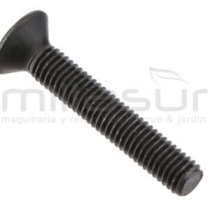 Tornillo cabezal nylgrip 55-1239 (1) - Referencia 55-1244