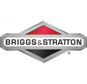 BRIGGS & STRATTON 841050 Volante Motor 809236 - Reymotor