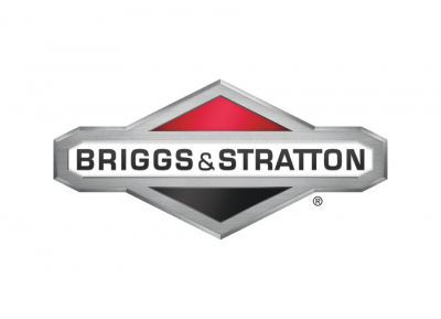 BRIGGS & STRATTON 841050 Volante Motor 809236 - Reymotor