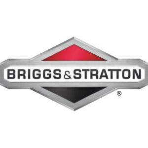 BRIGGS & STRATTON 590399 Carburador - Reymotor
