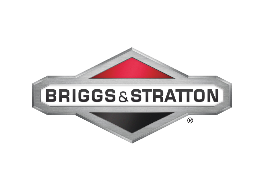 BRIGGS & STRATTON 590399 Carburador - Reymotor