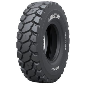 Neumático WESTLAKE CB771