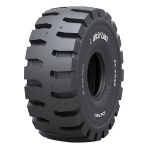 Neumático WESTLAKE CB790