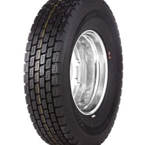 Neumático WINDFORCE WD2020