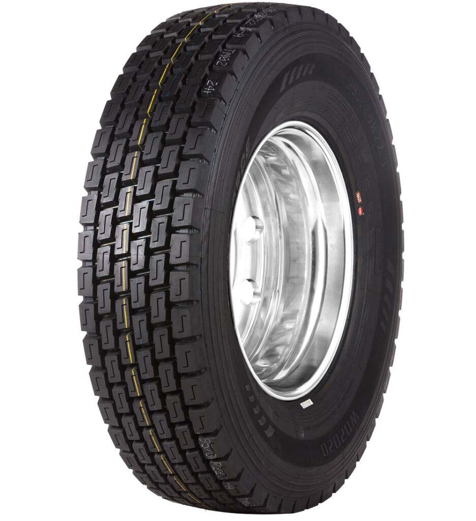 Neumático WINDFORCE WD2020